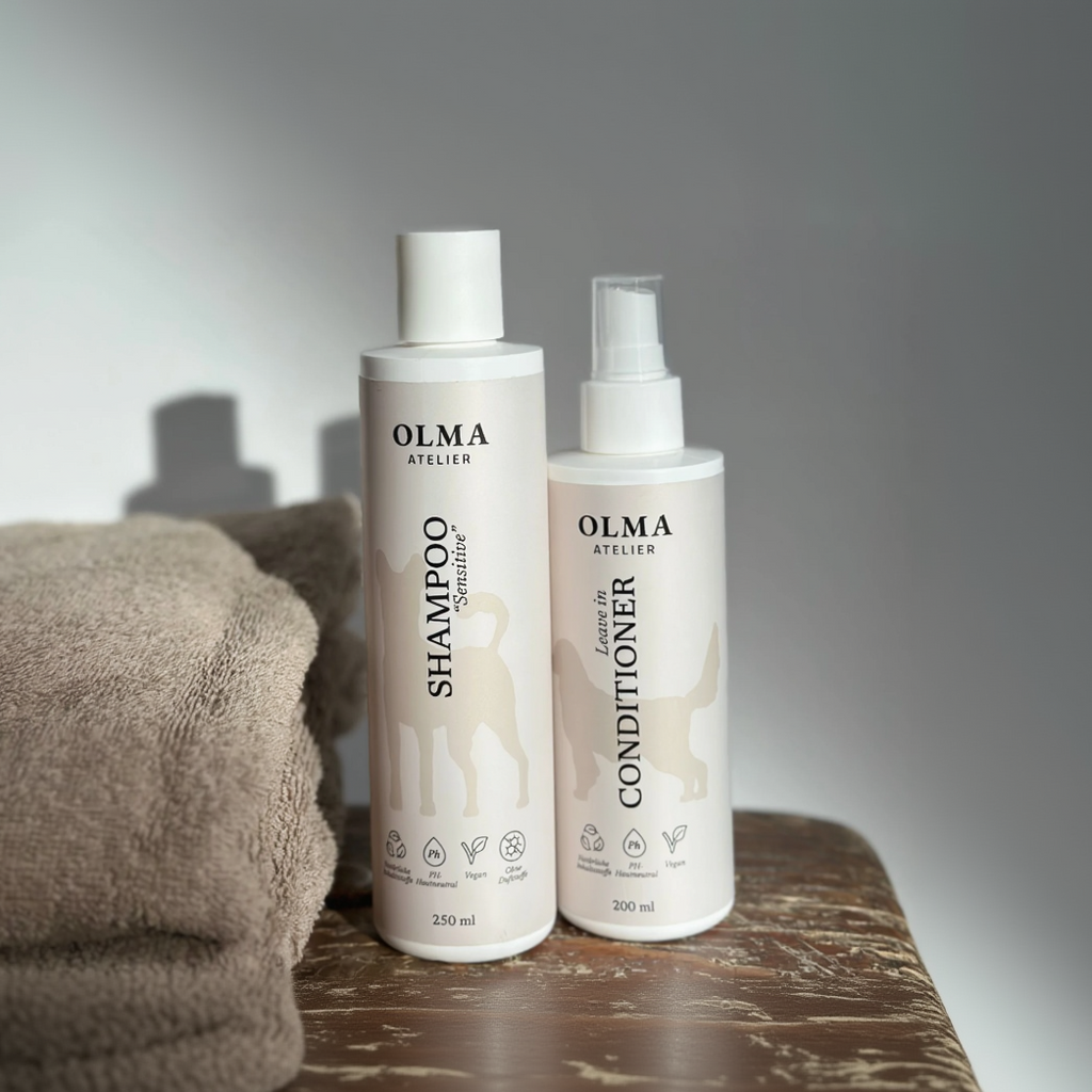 Care Duo – Reinigung & Pflege in Harmonie