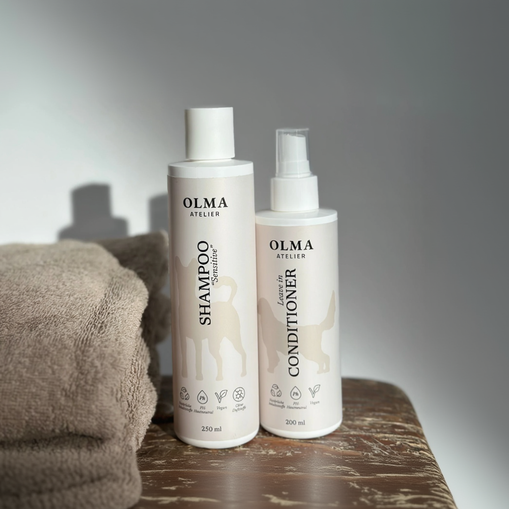 Care Duo – Reinigung & Pflege in Harmonie