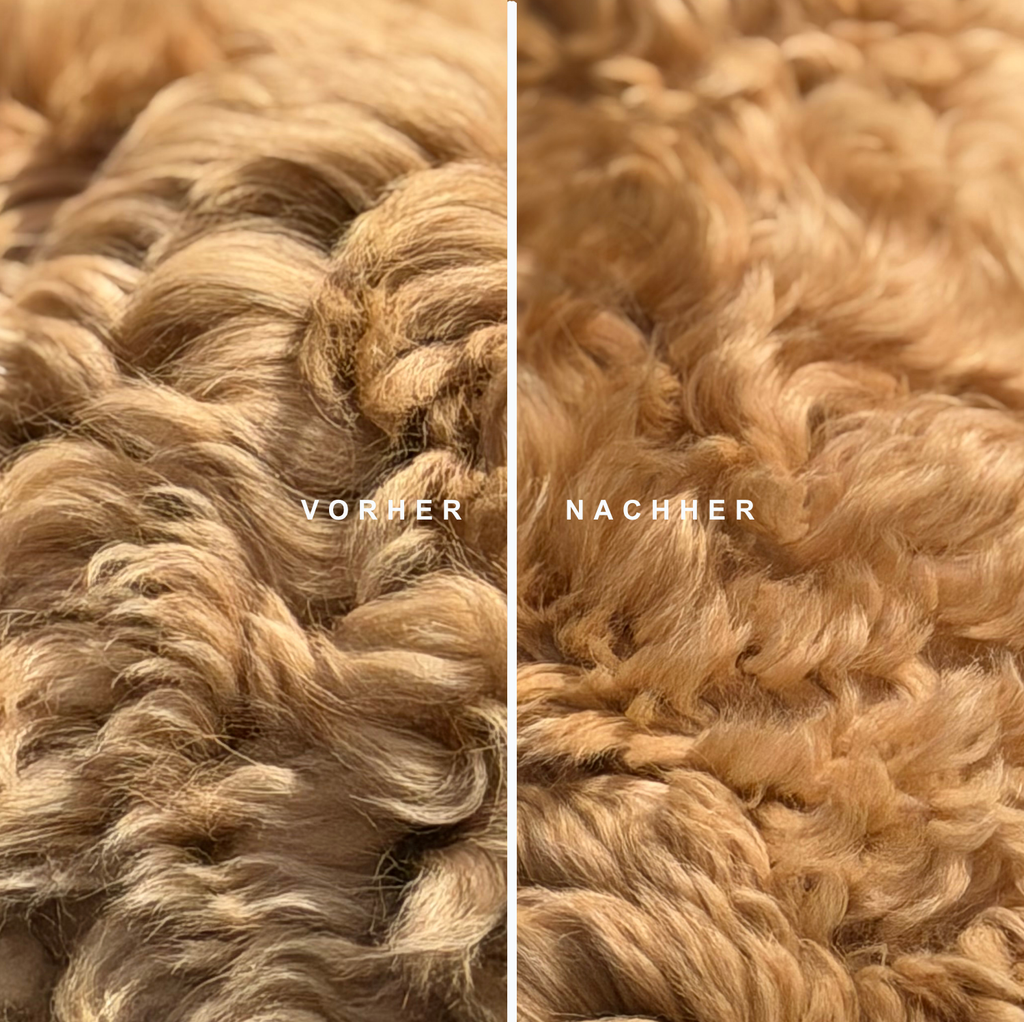 Care Duo – Reinigung & Pflege in Harmonie