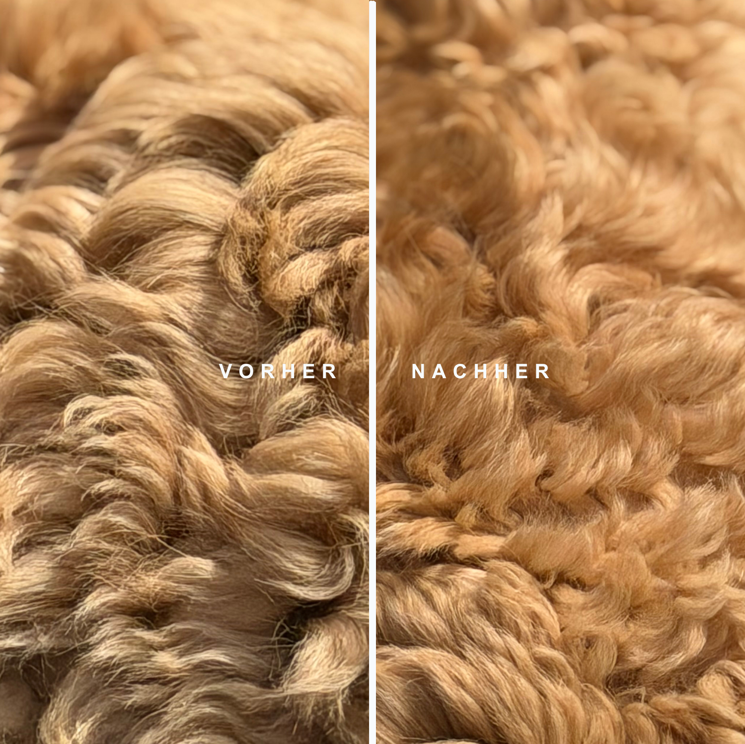 Care Duo – Reinigung & Pflege in Harmonie