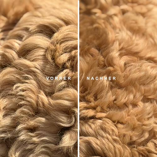 Care Duo – Reinigung & Pflege in Harmonie